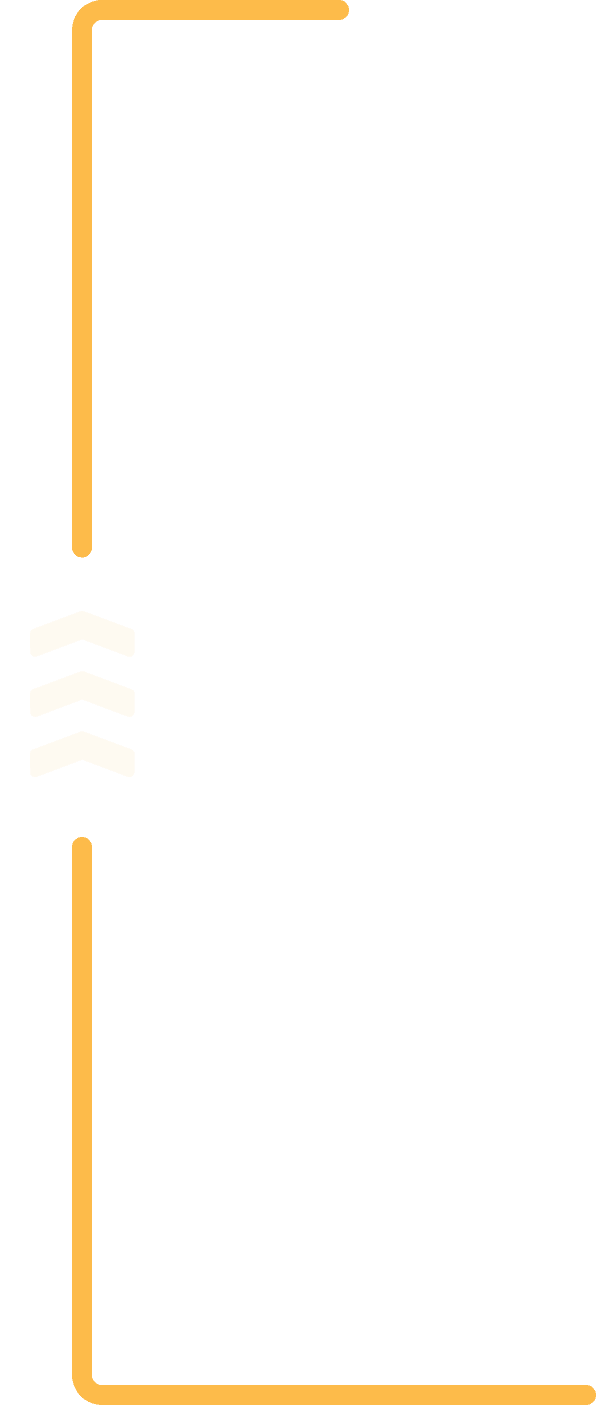 vector