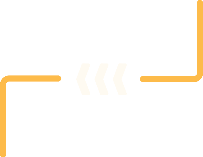 vector